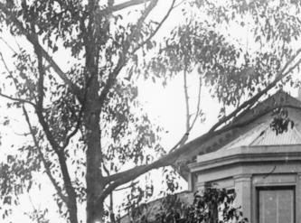 Rhyndarra when it was used as a Salvation Army 'home for wayward girls'